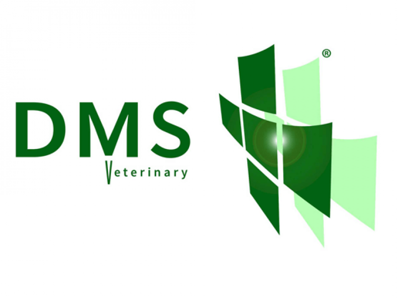 DMS-Logo-520x390